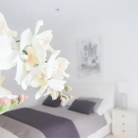 Veneto Excelsior Lejlighed *