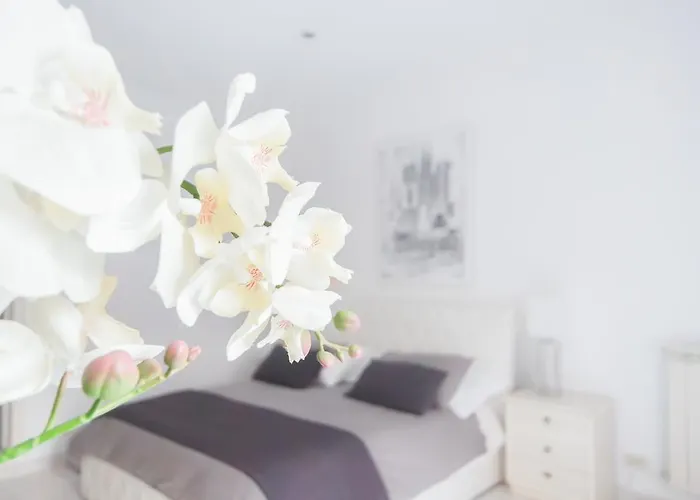 Veneto Excelsior Appartement *